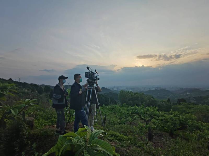 创意破圈！鞍山电商产品宣传视频用故事化叙事引爆流量