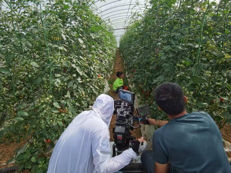 鞍山产品宣传视频拍摄公司进阶指南，助力品牌抢占传播高地